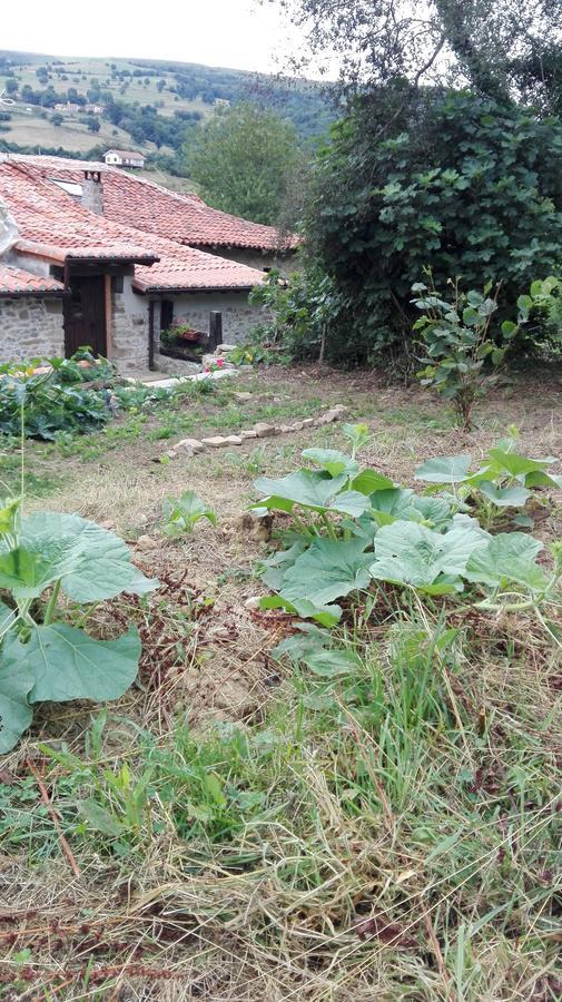 Albergue De Soba Lavín Εξωτερικό φωτογραφία