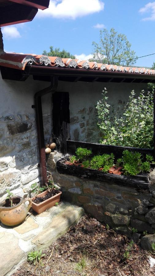 Albergue De Soba Lavín Εξωτερικό φωτογραφία