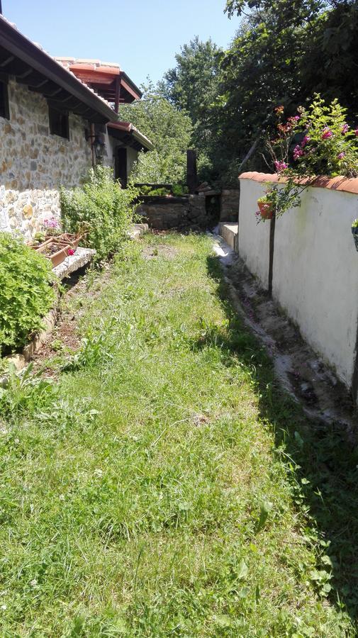 Albergue De Soba Lavín Εξωτερικό φωτογραφία