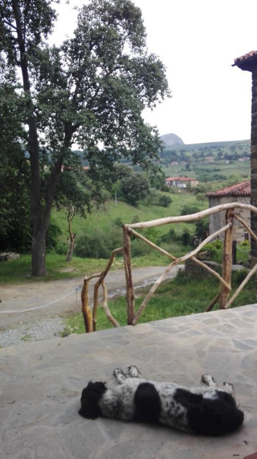 Albergue De Soba Lavín Εξωτερικό φωτογραφία