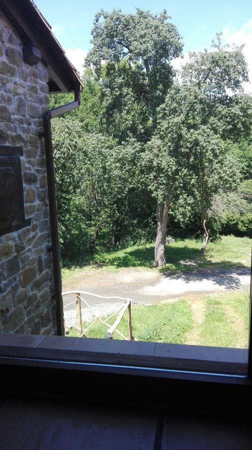 Albergue De Soba Lavín Εξωτερικό φωτογραφία