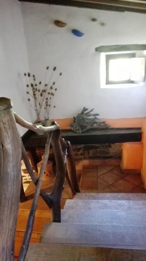 Albergue De Soba Lavín Εξωτερικό φωτογραφία